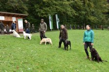 Hundepräsentation 2020